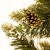 26c97984f97ecce779679ba885769cbc.jpg